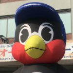 めめ さんのプロフィール写真