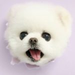 Mia さんのプロフィール写真