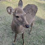 さやか さんのプロフィール写真