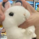 ロイ さんのプロフィール写真